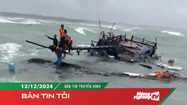 Sóng đánh chìm tàu, 14 ngư dân trôi tự do trên biển