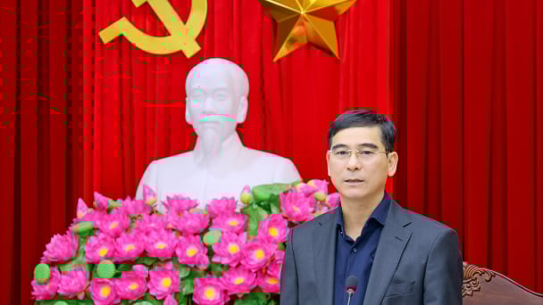 7 vụ án, vụ việc mới vào diện theo dõi, chỉ đạo của tỉnh Vĩnh Phúc