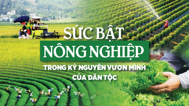 Sức bật nông nghiệp trong kỷ nguyên mới của dân tộc