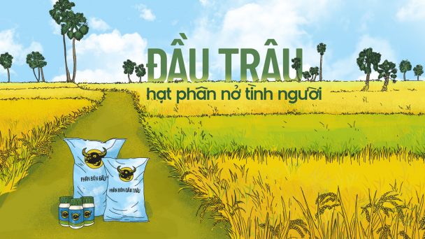 Đầu Trâu - Hạt phân nở tình người