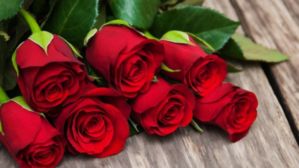 Tặng hoa gì ngày Valentine? Ý nghĩa các loài hoa ngày lễ tình nhân