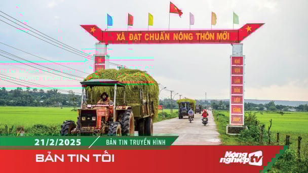 Phấn đấu có khoảng 90% số xã đạt chuẩn nông thôn mới