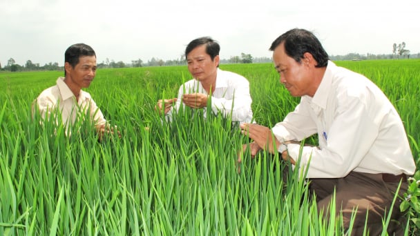 Khuyến nông An Giang 30 năm thực hiện sứ mệnh hỗ trợ nông dân