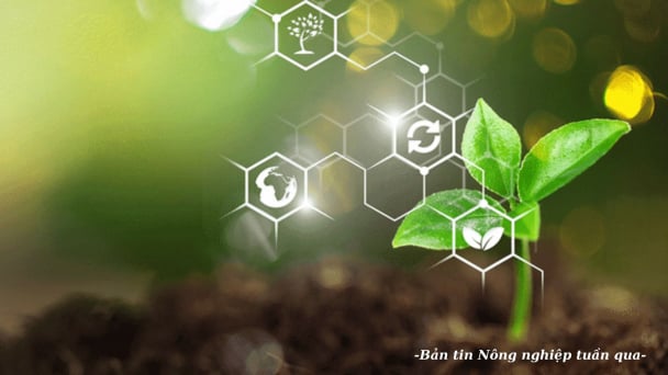 Phát triển nền tảng số dùng chung của ngành nông nghiệp và môi trường