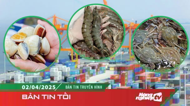 Cua, ghẹ và nhuyễn thể đóng góp lớn cho xuất khẩu thủy sản đầu năm
