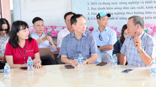 Agribank kỳ vọng thuận lợi cấp vốn cho Đề án 1 triệu ha lúa chất lượng cao trong năm 2025