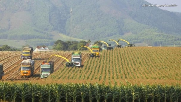 Bộ Nông nghiệp và Môi trường ban hành kế hoạch hành động về phát triển ngành
