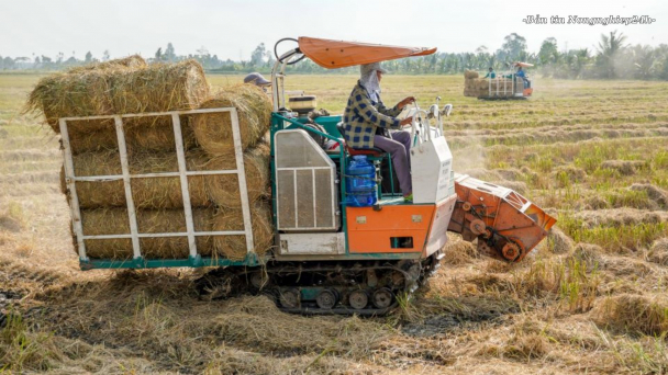Cần xử lý triệt để rơm rạ trên đồng ruộng