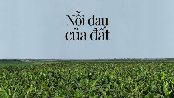 Nỗi đau của đất: [Bài 1] Án tử Bời Lời