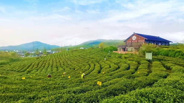 Trung Quốc đẩy mạnh bảo vệ môi trường sinh thái qua mô hình EOD