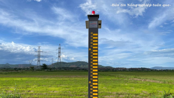 Hành động sớm tại cộng đồng là giải pháp then chốt ứng phó thiên tai