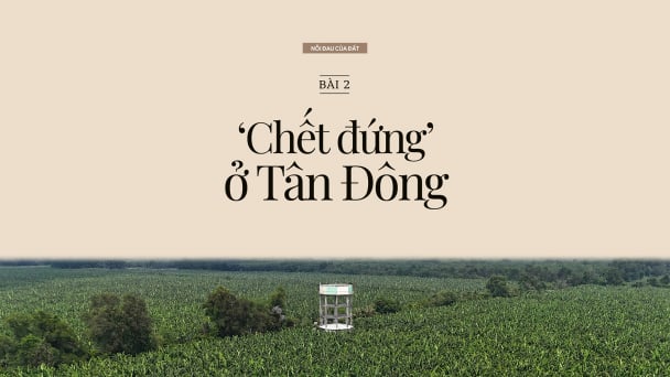 Nỗi đau của đất: [Bài 2] 'Chết đứng' ở Tân Đông