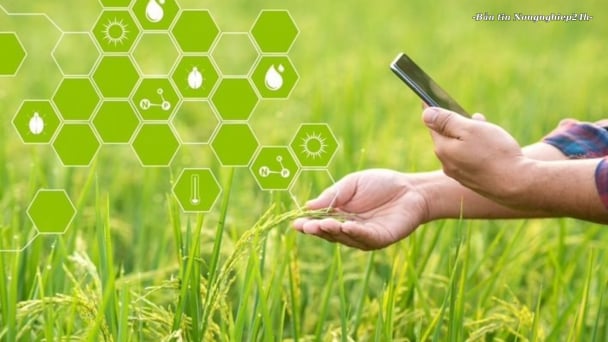 Hoàn thiện cơ sở dữ liệu hướng tới nông nghiệp số, môi trường số