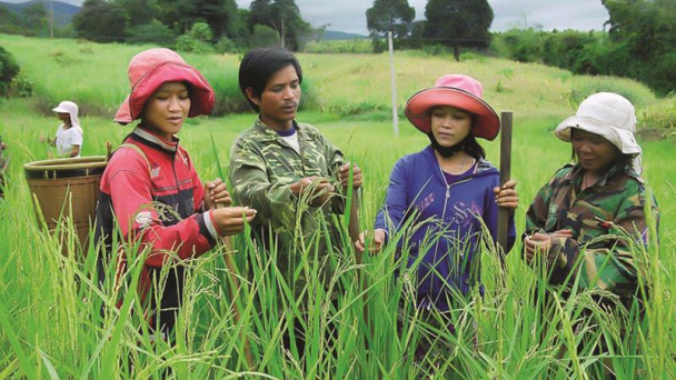 Hướng dẫn thực hiện nội dung về giảm nghèo sau sáp nhập xã