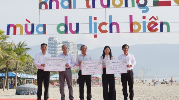 Đà Nẵng: Tiếp nhận 1.300 cây dừa phủ xanh đường biển