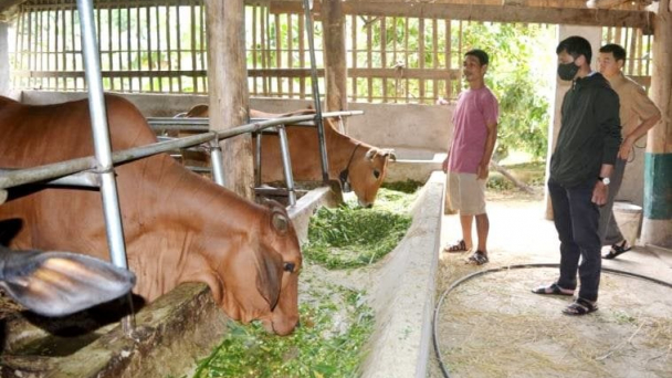 Điện Biên: Đồng hành cùng nông dân thoát nghèo