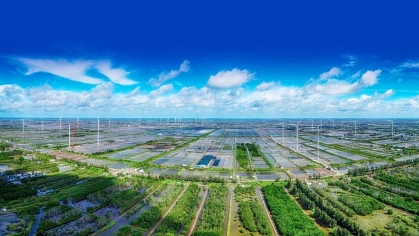 Tập trung nguồn lực giải quyết cấp bách vấn đề tài nguyên và môi trường