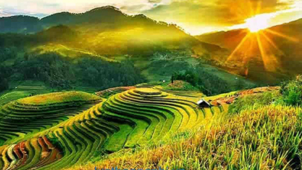 Thời tiết nông vụ ngày 9/5/2025: Bắc Bộ bước vào cao điểm nắng nóng