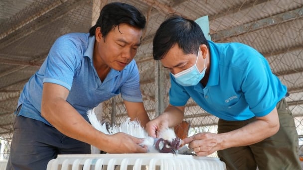 Gene technology: Catalyzing for Vietnam's aquaculture and livestock industries