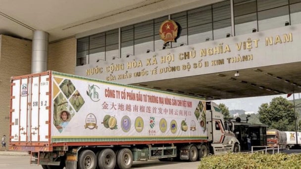 Vietnam - China expand border gates, accelerate the export of potential agricultural products