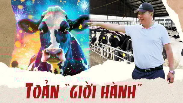 Toản 'giời hành'