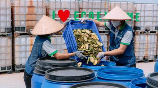 Biến vỏ dứa thành sản phẩm nước tẩy rửa hữu cơ đạt OCOP