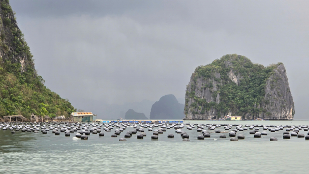 Quảng Ninh 'nói không' với rác thải nhựa