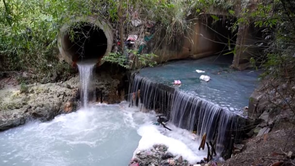 Vì sao nước sông Vàm Cỏ Đông màu đen, mùi hôi bất thường