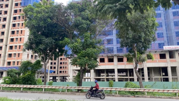 Nợ xấu, nhiều doanh nghiệp bất động sản đối mặt nguy cơ mất dự án