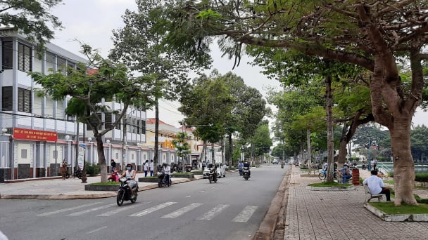 Thanh niên Bến Tre sẽ trồng mới ít nhất 150 nghìn cây xanh