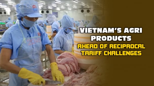 Pangasius export eyes emerging markets