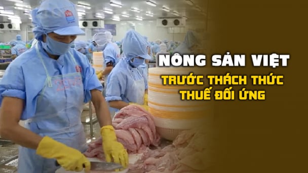 Xuất khẩu cá tra hướng tới các thị trường tiềm năng