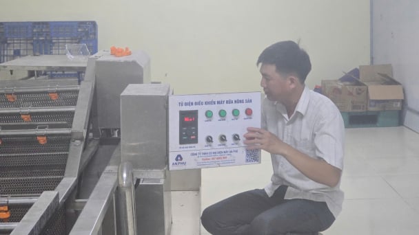 Thị xã Chũ đảm bảo 20 cơ sở đóng gói vải thiều