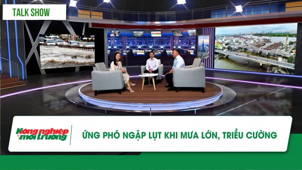 Ứng phó ngập lụt khi mưa lớn, triều cường