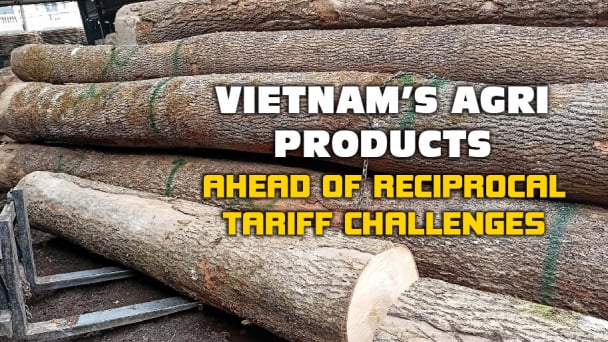 Vietnam's wood industry seeking solutions to preserve market presence in the US