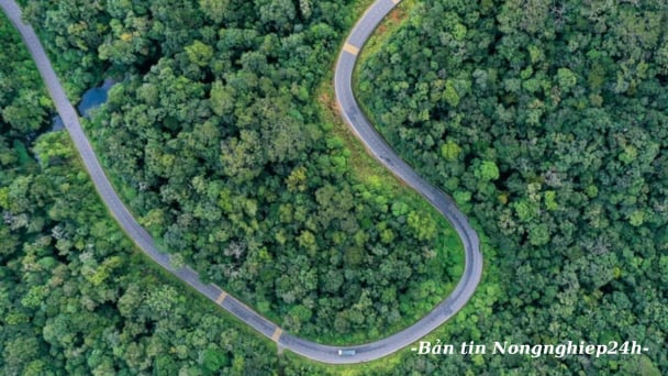 Đà bật mạnh cho Nông nghiệp và Môi trường từ những con số đầu năm