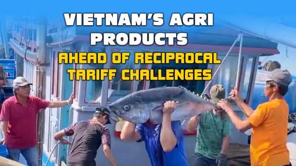 Vietnam’s tuna industry seeking market diversification