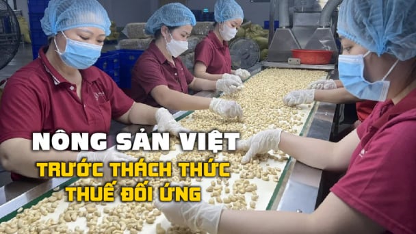 Hạt điều còn nhiều dư địa ngoài thị trường Hoa Kỳ