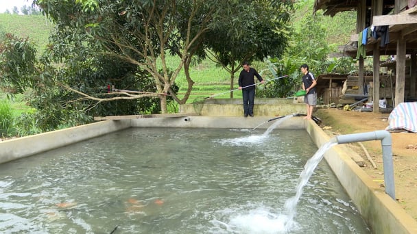 Xây dựng chuỗi thương hiệu nông nghiệp đặc trưng Làng Nủ