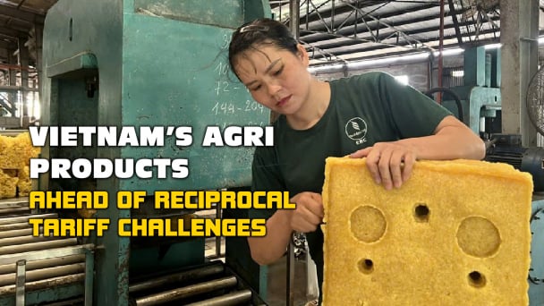 Vietnam’s rubber exports: leveraging key markets and FTAs