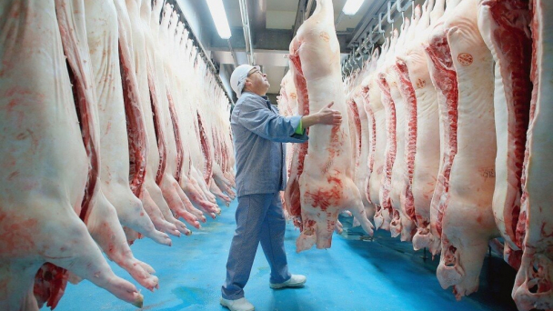 Chấn chỉnh công tác kiểm soát giết mổ, đặc biệt với lợn chết, bệnh