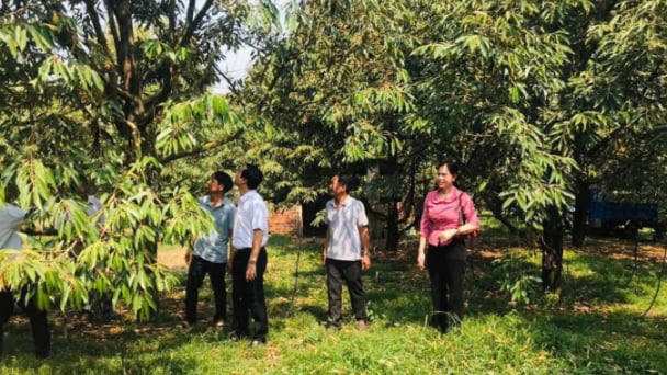 Tín dụng- 'chìa khóa’ giảm nghèo: [Bài 1] Giải bài toán vùng dân tộc thiểu số