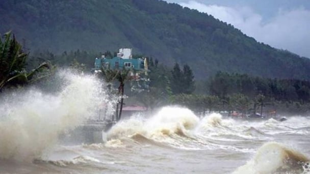 Thời tiết nông vụ ngày 11/6/2025: Áp thấp nhiệt đới gây mưa, biển động mạnh