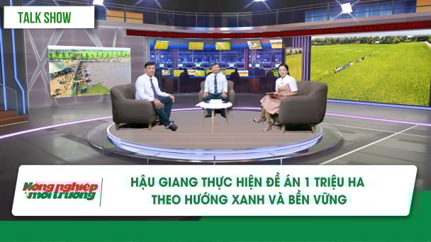 Hậu Giang thực hiện Đề án 1 triệu ha theo hướng xanh và bền vững