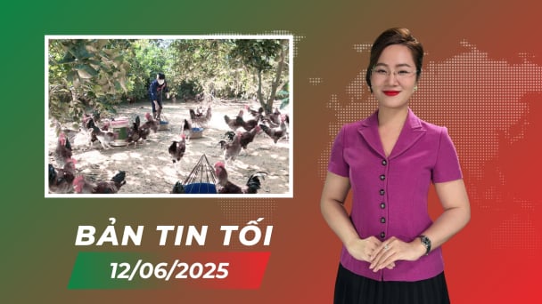 Chăn nuôi không kháng sinh – Giải pháp bền vững cho tương lai