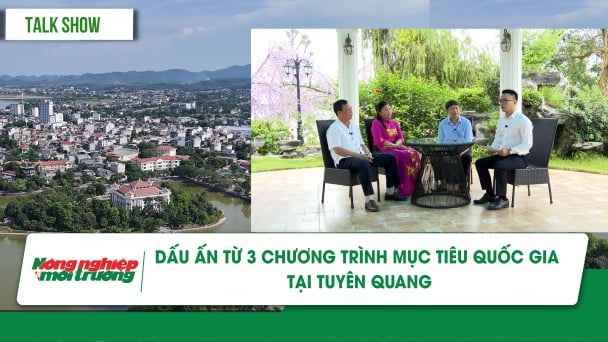 Dấu ấn từ 3 chương trình mục tiêu quốc gia tại Tuyên Quang