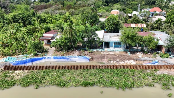 TP.HCM khẩn trương gia cố bờ bao sạt lở tại Củ Chi