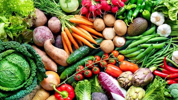Vietnam accelerates food systems innovation: National plan, local strength