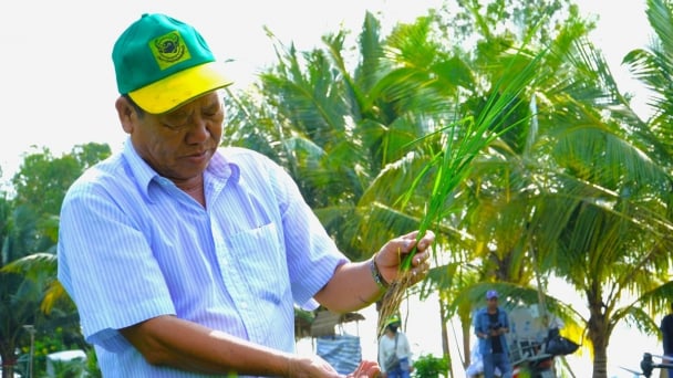 Agricultural insurance in Vietnam: Gaps in policy support