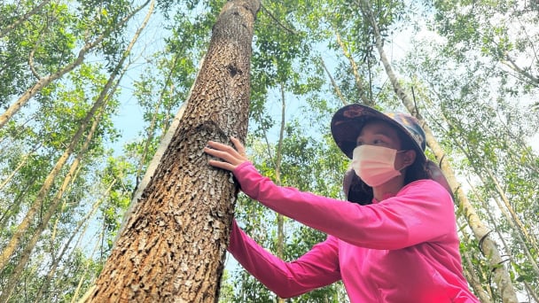 Vietnam updates disbursement rate for ERPA advance payments